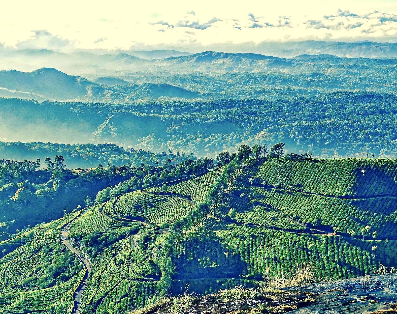Romantic honeymoon package aerial view of Munnar tea hills
