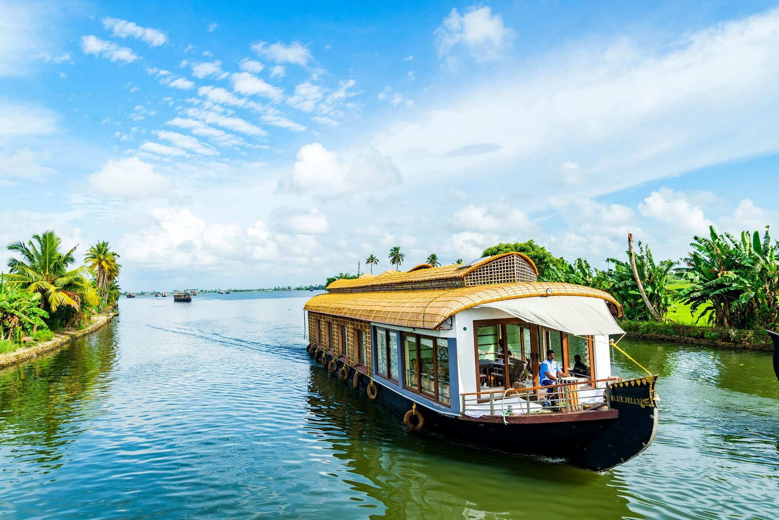 Alleppey houseboat backwater tour package