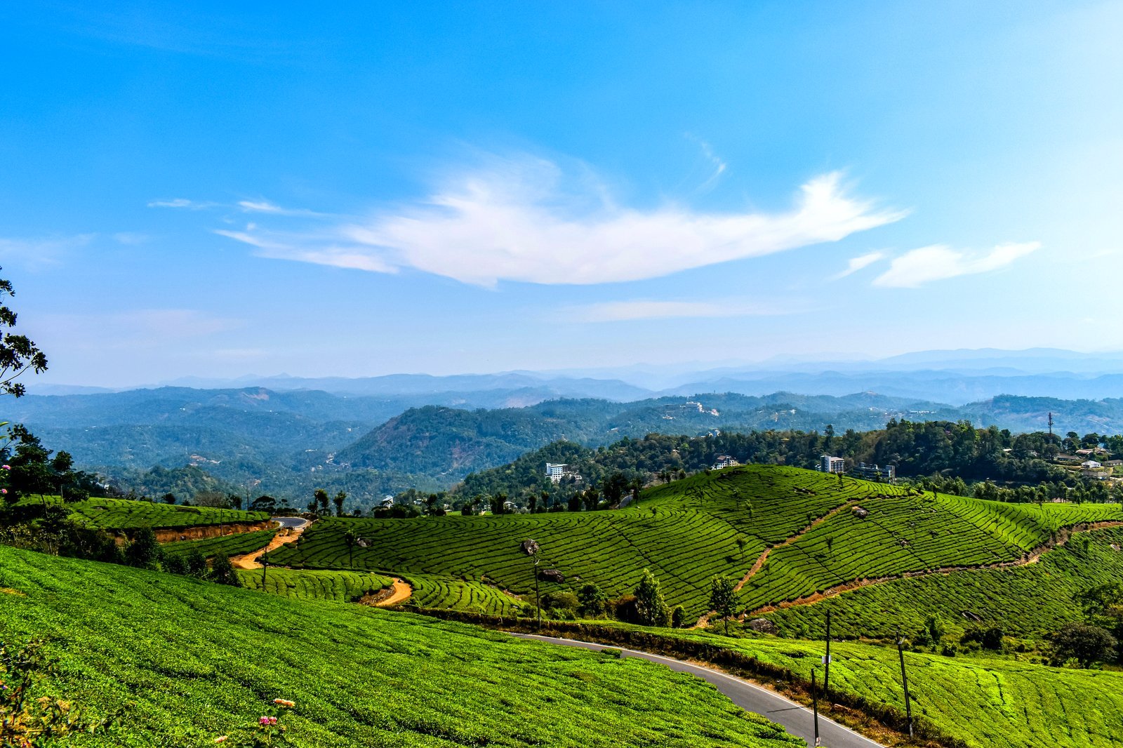 Munnar honeymoon tour package Kerala