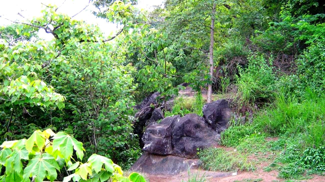 Wayanad hills tour package Kerala