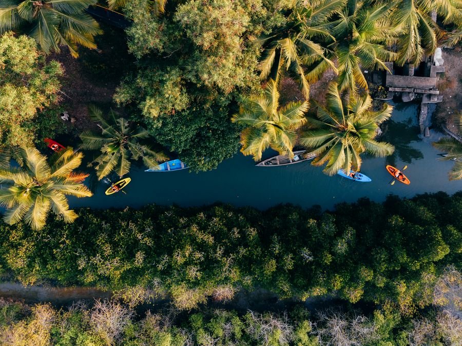 Kayaking through green Kerala backwater canals