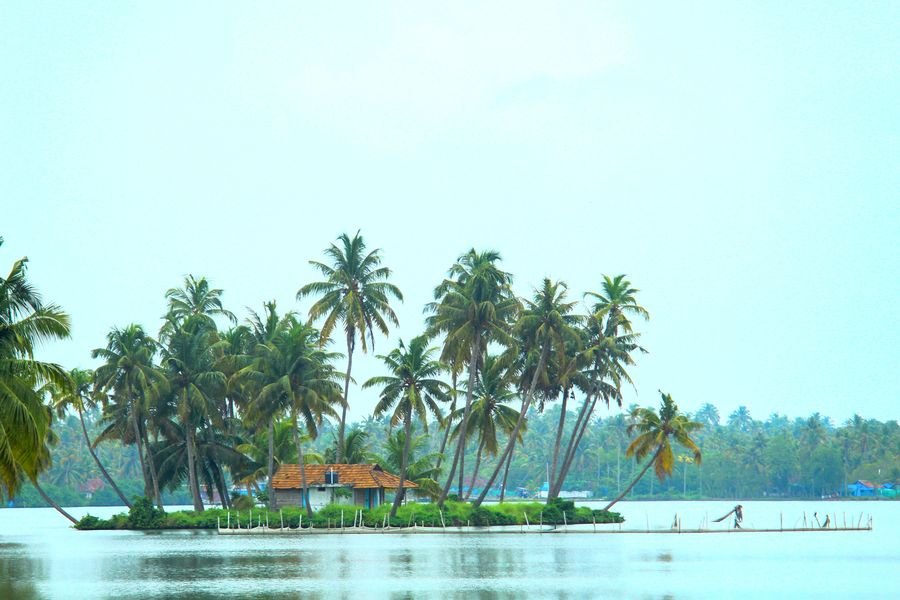 Small palm-covered island in the Kerala backwaters
