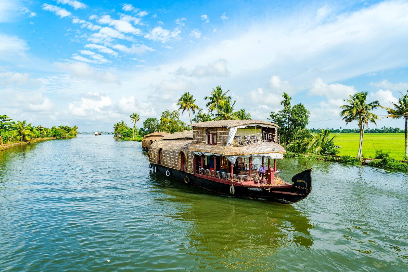 Aerial green view of Kerala backwaters with palm-lined shores