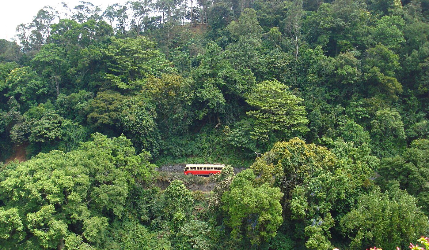 Tourist bus travelling through lush green Kerala forest